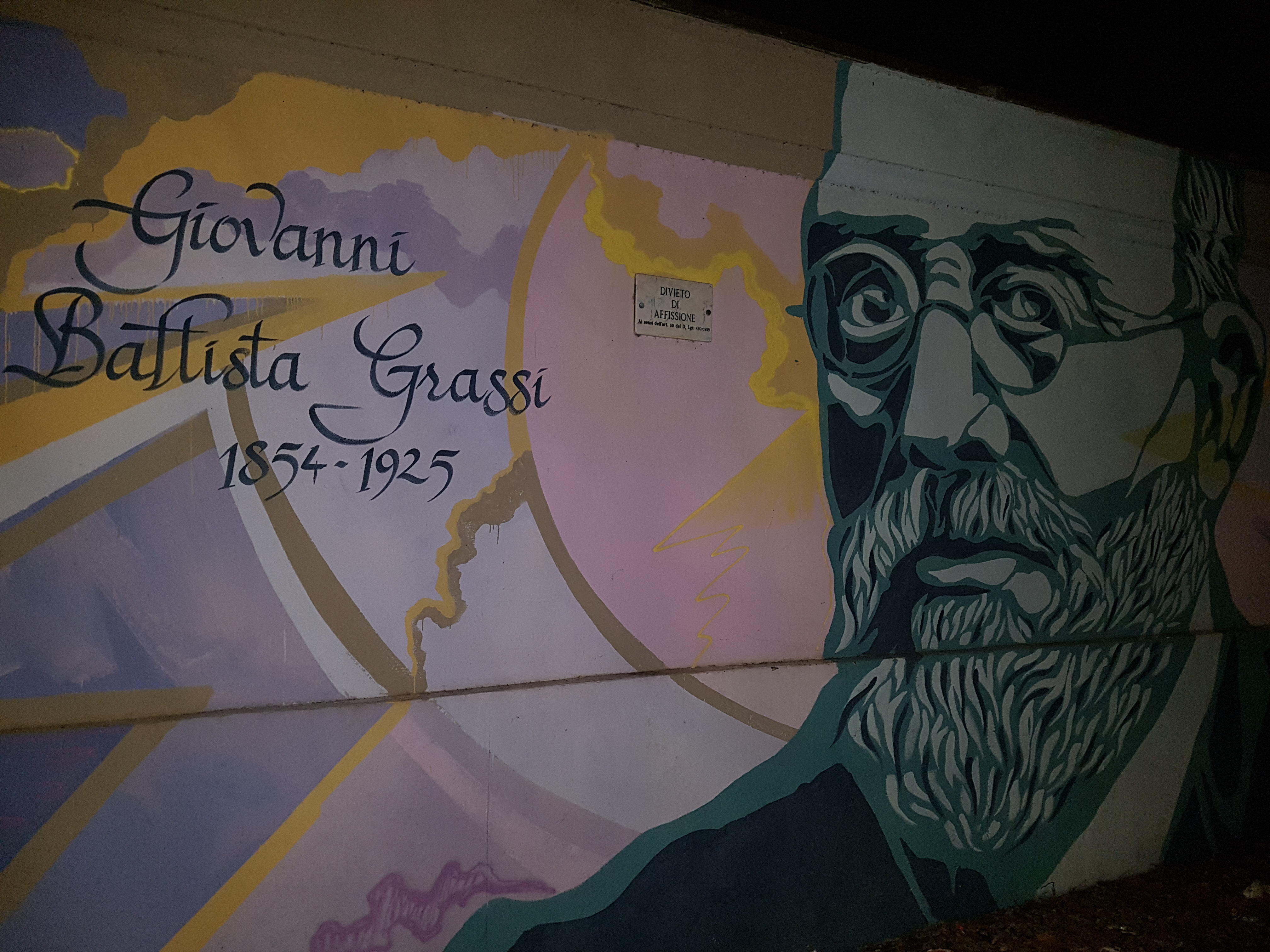 tizio 1.jpg
